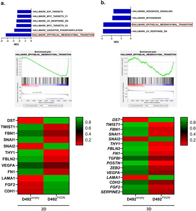 https://cdn.ncbi.nlm.nih.gov/pmc/blobs/b9e3/8858314/87df384afb6c/10911_2021_9507_Fig8_HTML.jpg