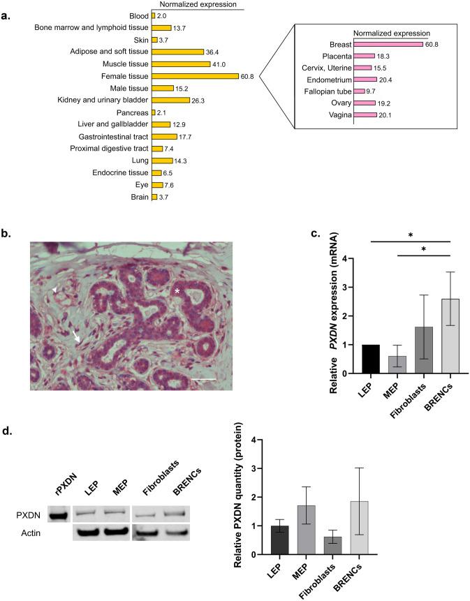 https://cdn.ncbi.nlm.nih.gov/pmc/blobs/b9e3/8858314/8f5d6395348e/10911_2021_9507_Fig1_HTML.jpg