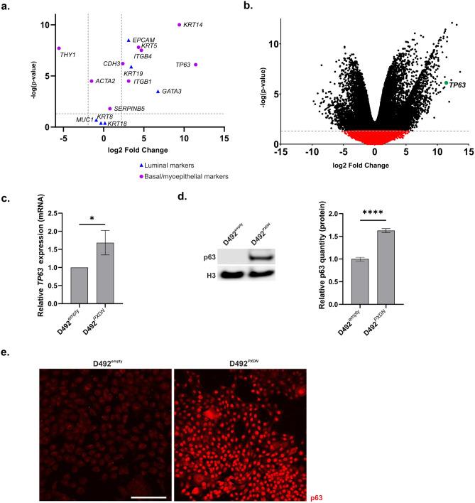 https://cdn.ncbi.nlm.nih.gov/pmc/blobs/b9e3/8858314/9007e96255c1/10911_2021_9507_Fig6_HTML.jpg