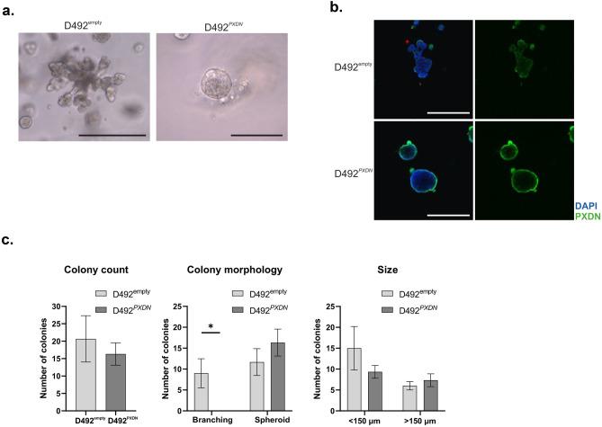 https://cdn.ncbi.nlm.nih.gov/pmc/blobs/b9e3/8858314/af47cc9cd143/10911_2021_9507_Fig4_HTML.jpg