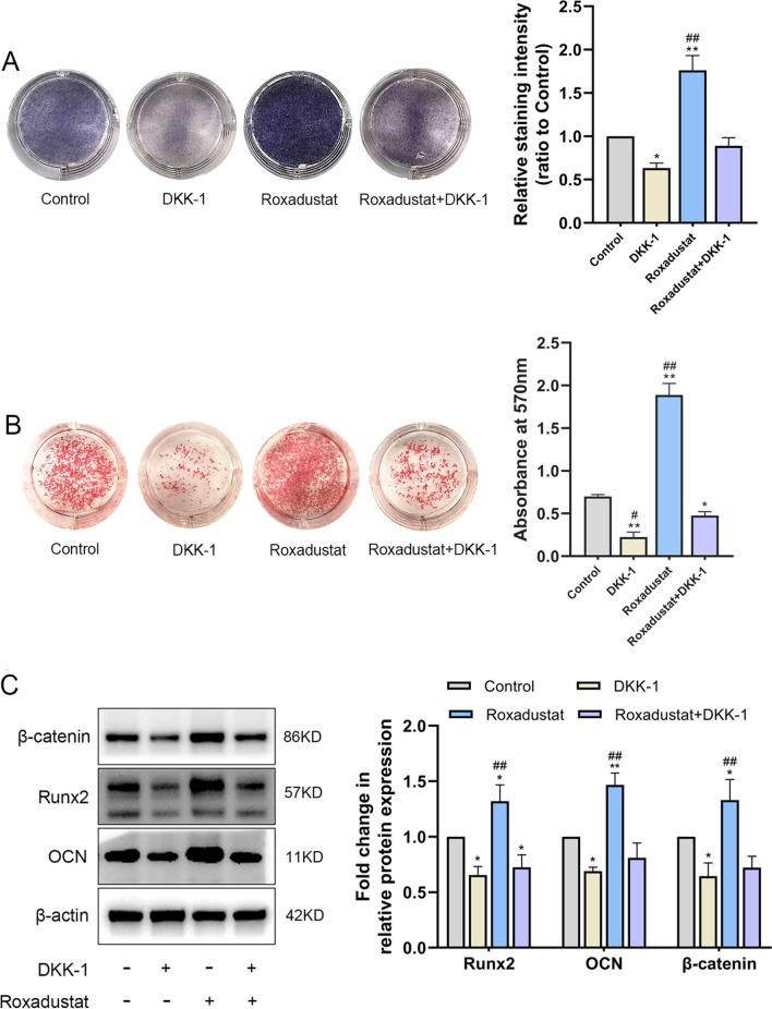 https://cdn.ncbi.nlm.nih.gov/pmc/blobs/b9e3/9124388/2cf051c60cbe/13018_2022_3162_Fig7_HTML.jpg