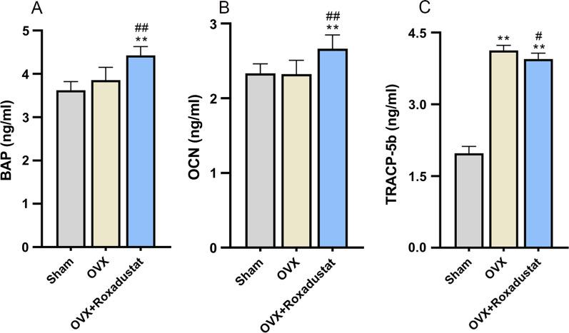 https://cdn.ncbi.nlm.nih.gov/pmc/blobs/b9e3/9124388/453c02a33f99/13018_2022_3162_Fig8_HTML.jpg
