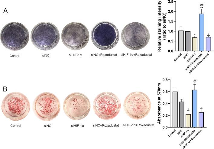 https://cdn.ncbi.nlm.nih.gov/pmc/blobs/b9e3/9124388/8a4672bae58c/13018_2022_3162_Fig4_HTML.jpg