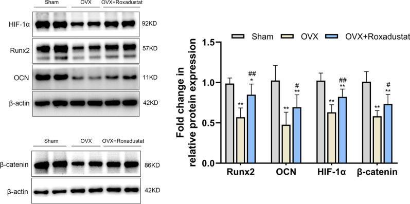 https://cdn.ncbi.nlm.nih.gov/pmc/blobs/b9e3/9124388/b42feb13abdd/13018_2022_3162_Fig11_HTML.jpg