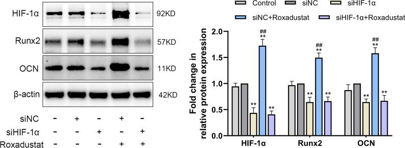 https://cdn.ncbi.nlm.nih.gov/pmc/blobs/b9e3/9124388/d691f7b3a5b3/13018_2022_3162_Fig5_HTML.jpg