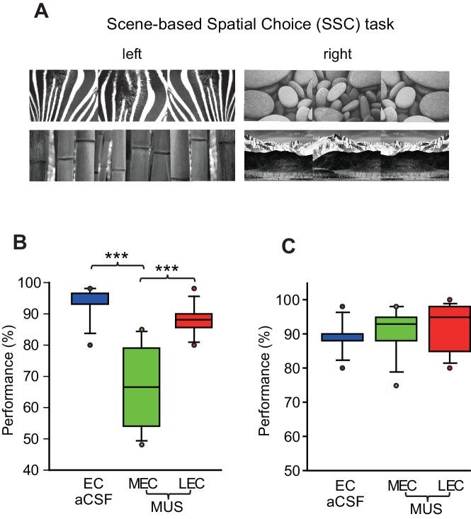 https://cdn.ncbi.nlm.nih.gov/pmc/blobs/b9e5/5308889/85f4d29a763a/elife-21543-fig2.jpg