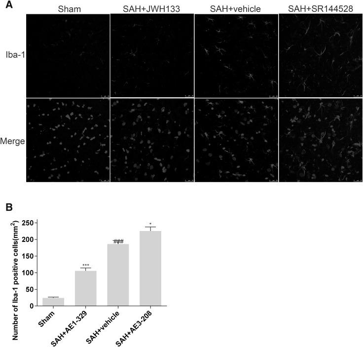 https://cdn.ncbi.nlm.nih.gov/pmc/blobs/b9e5/5375972/e537b62e98e2/11064_2016_2168_Fig4_HTML.jpg