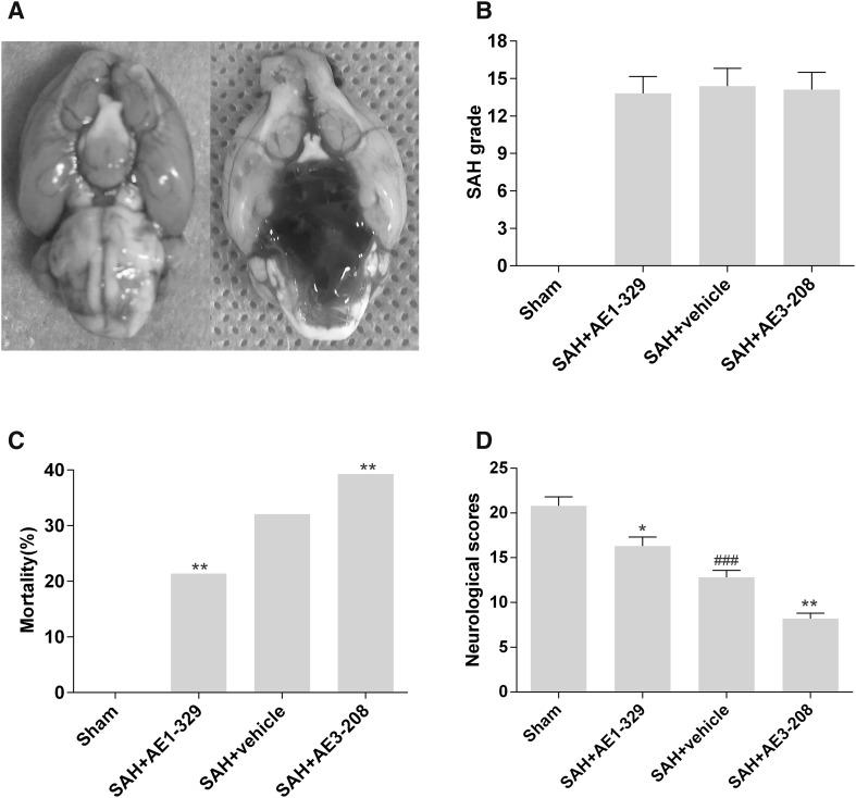 https://cdn.ncbi.nlm.nih.gov/pmc/blobs/b9e5/5375972/e96901127726/11064_2016_2168_Fig1_HTML.jpg