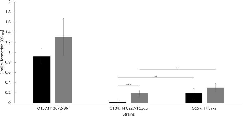 https://cdn.ncbi.nlm.nih.gov/pmc/blobs/b9e5/6729007/1ed86c705438/12866_2019_1578_Fig5_HTML.jpg