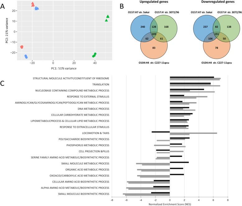 https://cdn.ncbi.nlm.nih.gov/pmc/blobs/b9e5/6729007/2d2bb9c7611b/12866_2019_1578_Fig2_HTML.jpg