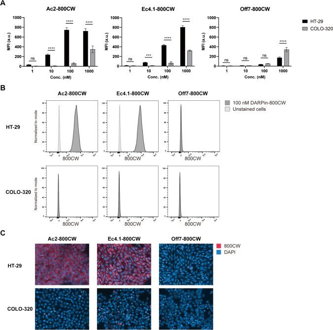 https://cdn.ncbi.nlm.nih.gov/pmc/blobs/b9e6/11178671/0a188f61a53d/259_2023_6407_Fig1_HTML.jpg