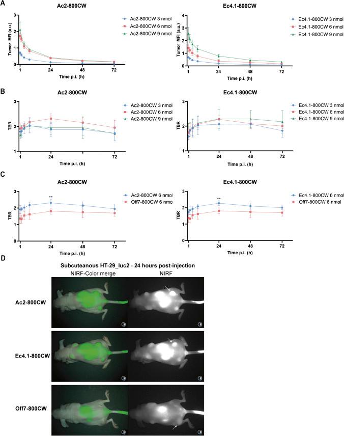 https://cdn.ncbi.nlm.nih.gov/pmc/blobs/b9e6/11178671/e9297f9c290f/259_2023_6407_Fig3_HTML.jpg