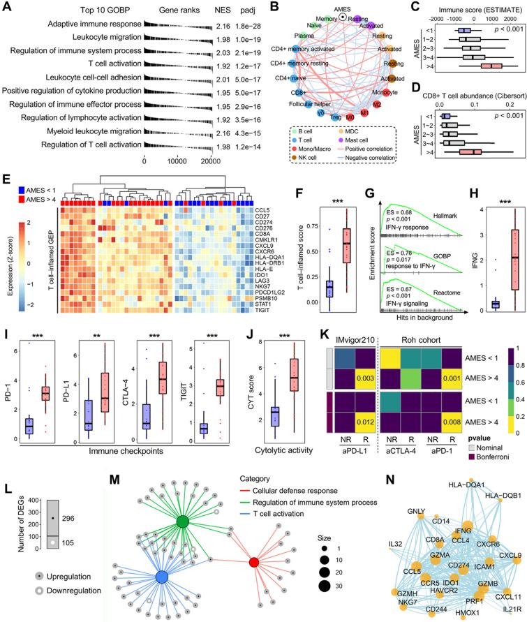 https://cdn.ncbi.nlm.nih.gov/pmc/blobs/b9e6/9169361/7040ee2021e5/thnov12p4181g006.jpg