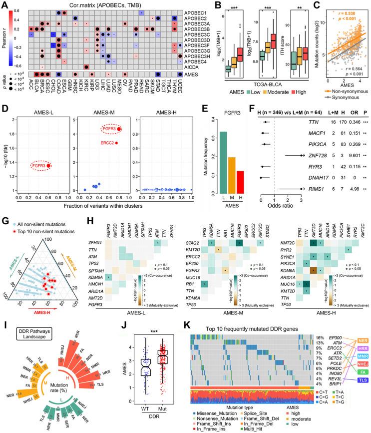 https://cdn.ncbi.nlm.nih.gov/pmc/blobs/b9e6/9169361/9cbba33d7814/thnov12p4181g002.jpg