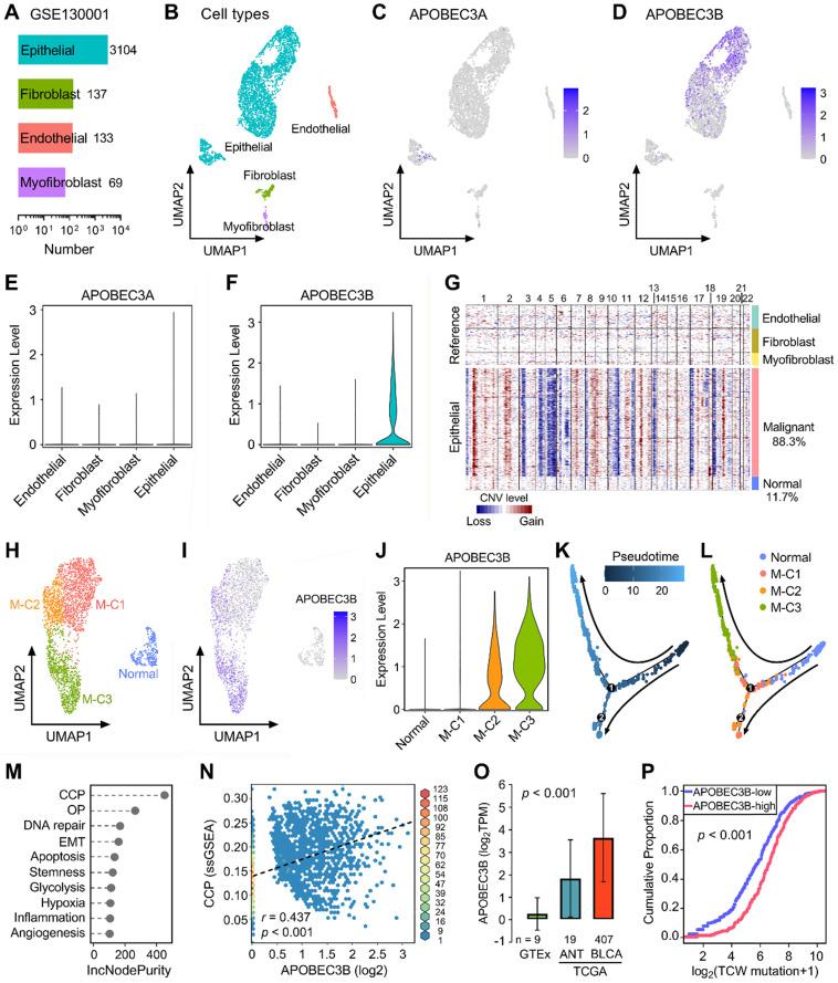 https://cdn.ncbi.nlm.nih.gov/pmc/blobs/b9e6/9169361/a00c69b1df3d/thnov12p4181g004.jpg