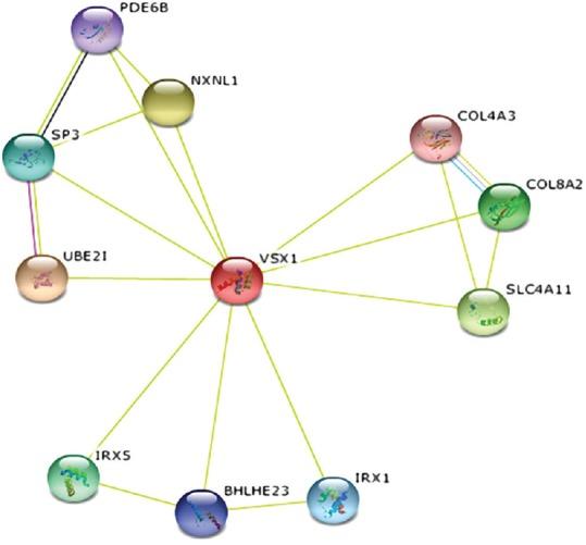 https://cdn.ncbi.nlm.nih.gov/pmc/blobs/b9e8/5423365/a4f3a44e8996/JOVR-12-135-g005.jpg