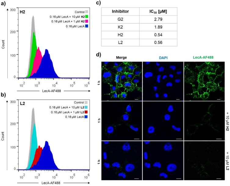 https://cdn.ncbi.nlm.nih.gov/pmc/blobs/b9e9/10107299/55c252ec5228/ANIE-62-0-g005.jpg