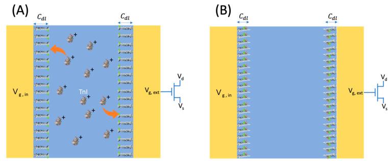 https://cdn.ncbi.nlm.nih.gov/pmc/blobs/b9e9/12109899/60d193168440/biosensors-15-00285-g004.jpg