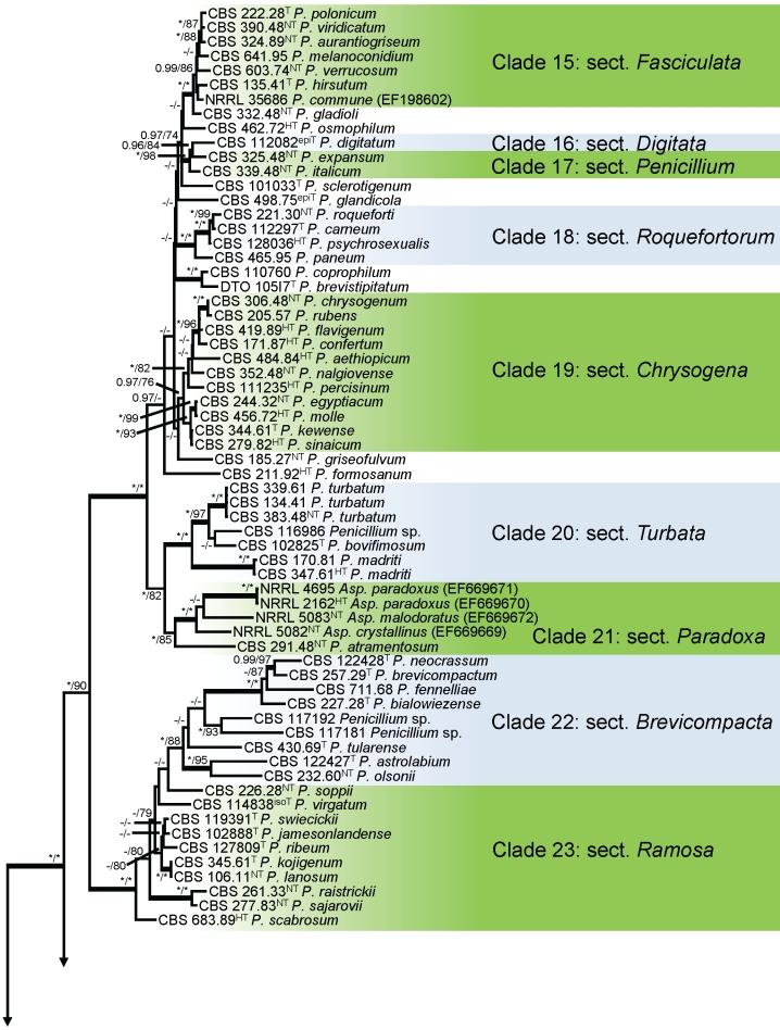 https://cdn.ncbi.nlm.nih.gov/pmc/blobs/b9e9/3233907/27058a1403d1/1fig13a.jpg
