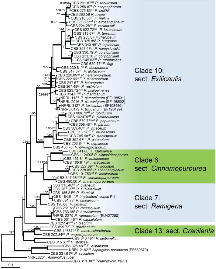 https://cdn.ncbi.nlm.nih.gov/pmc/blobs/b9e9/3233907/36931d64fda9/1fig10.jpg