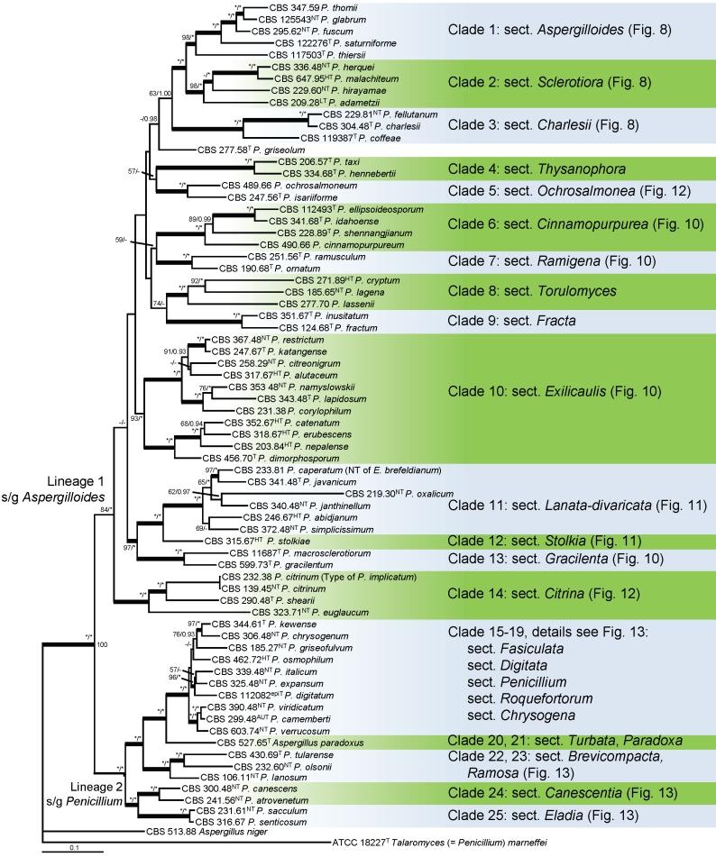 https://cdn.ncbi.nlm.nih.gov/pmc/blobs/b9e9/3233907/39052028db26/1fig7.jpg