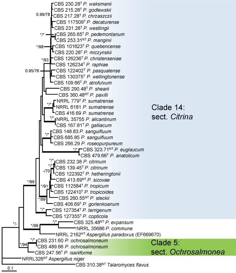 https://cdn.ncbi.nlm.nih.gov/pmc/blobs/b9e9/3233907/8885fb11433b/1fig12.jpg