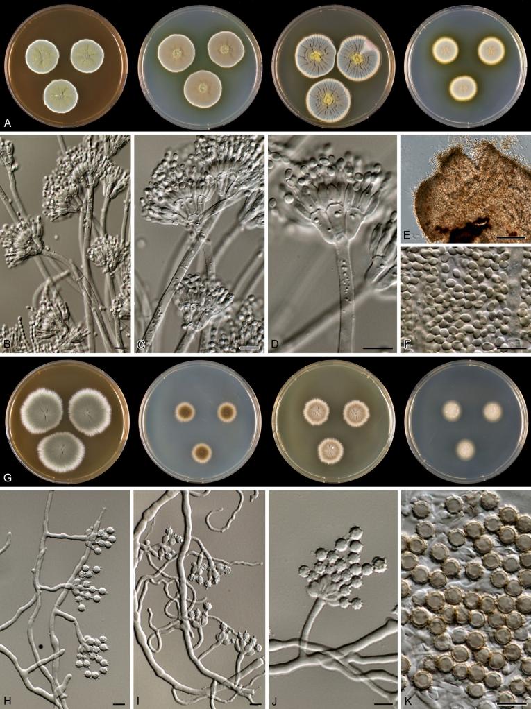 https://cdn.ncbi.nlm.nih.gov/pmc/blobs/b9e9/3233907/9da3e206963e/1fig4.jpg