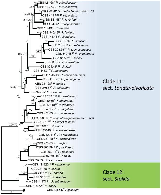 https://cdn.ncbi.nlm.nih.gov/pmc/blobs/b9e9/3233907/f49fec7e35d1/1fig11.jpg