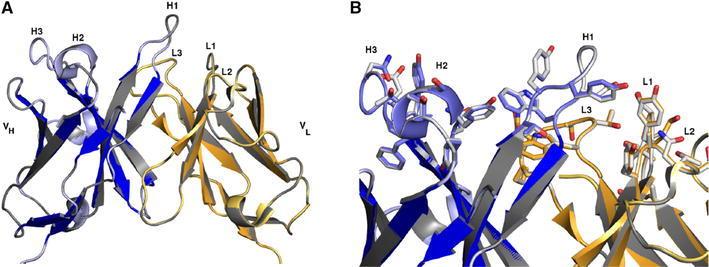 https://cdn.ncbi.nlm.nih.gov/pmc/blobs/b9ea/3775154/96e61c8bbae1/40259_2013_36_Fig3_HTML.jpg