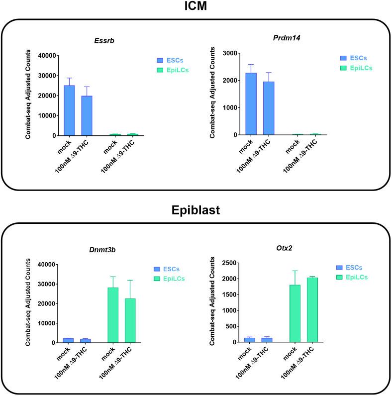 https://cdn.ncbi.nlm.nih.gov/pmc/blobs/b9eb/10752584/015e3e02eda9/elife-88795-fig5-figsupp1.jpg