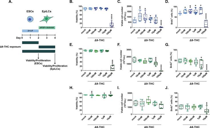 https://cdn.ncbi.nlm.nih.gov/pmc/blobs/b9eb/10752584/a9b7cb5dc529/elife-88795-fig1.jpg