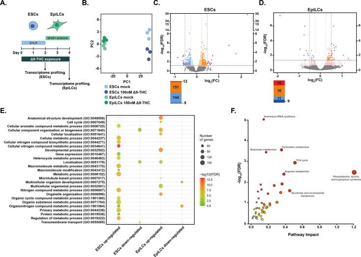 https://cdn.ncbi.nlm.nih.gov/pmc/blobs/b9eb/10752584/b1159e4584c3/elife-88795-fig5.jpg
