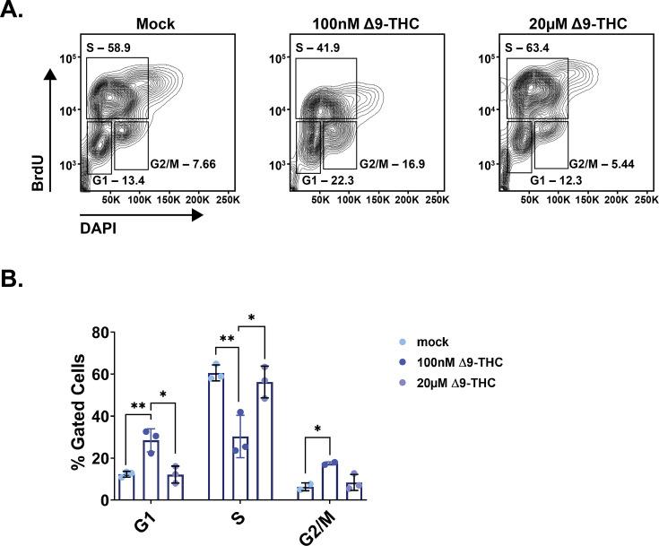 https://cdn.ncbi.nlm.nih.gov/pmc/blobs/b9eb/10752584/b319c1639b22/elife-88795-fig1-figsupp2.jpg