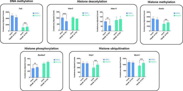 https://cdn.ncbi.nlm.nih.gov/pmc/blobs/b9eb/10752584/b47b281bd0e0/elife-88795-fig5-figsupp2.jpg