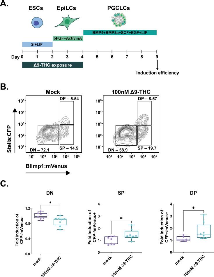 https://cdn.ncbi.nlm.nih.gov/pmc/blobs/b9eb/10752584/d971886a5a6c/elife-88795-fig6-figsupp2.jpg