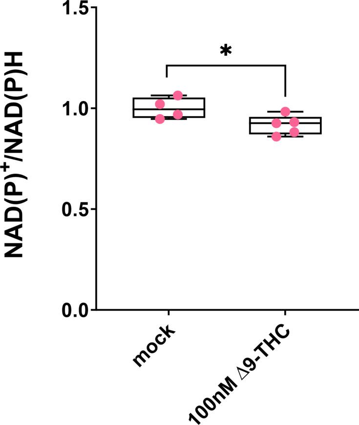https://cdn.ncbi.nlm.nih.gov/pmc/blobs/b9eb/10752584/e9dd16f7d347/elife-88795-fig3-figsupp1.jpg