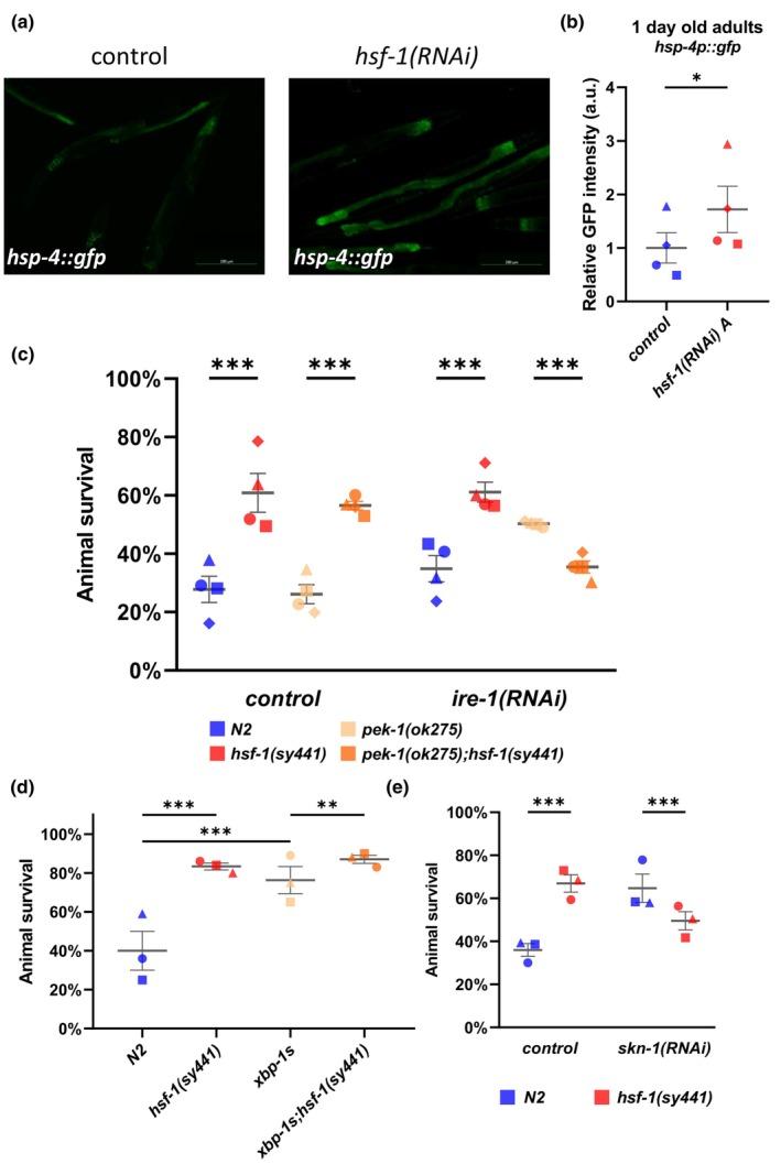 https://cdn.ncbi.nlm.nih.gov/pmc/blobs/b9eb/11464127/406811d07f10/ACEL-23-e14246-g002.jpg