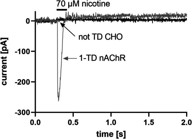 https://cdn.ncbi.nlm.nih.gov/pmc/blobs/b9ec/10746606/01d4c2cd96f1/12192_2023_1395_Fig5_HTML.jpg