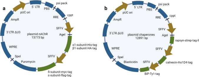 https://cdn.ncbi.nlm.nih.gov/pmc/blobs/b9ec/10746606/24ce4b58f3d9/12192_2023_1395_Fig1_HTML.jpg