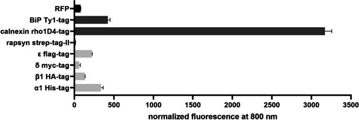 https://cdn.ncbi.nlm.nih.gov/pmc/blobs/b9ec/10746606/7165a544932f/12192_2023_1395_Fig4_HTML.jpg