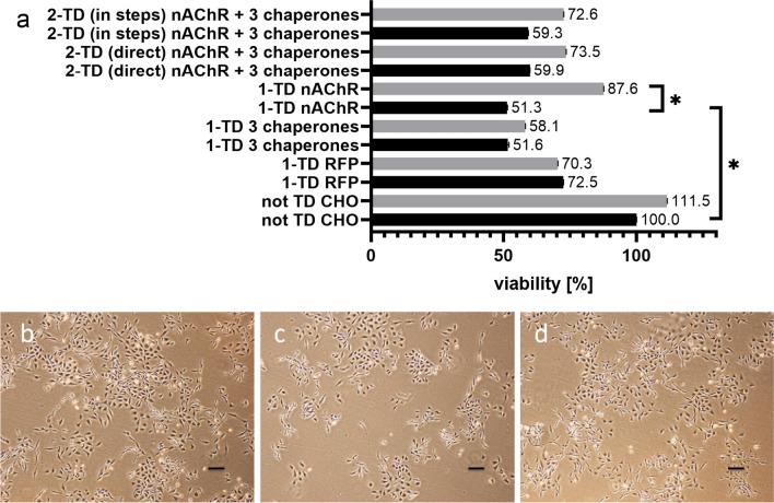 https://cdn.ncbi.nlm.nih.gov/pmc/blobs/b9ec/10746606/f5c530ff9196/12192_2023_1395_Fig2_HTML.jpg