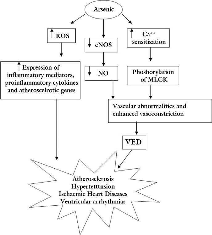 https://cdn.ncbi.nlm.nih.gov/pmc/blobs/b9ec/3183630/fef6ab3292a9/TI-18-87-g001.jpg