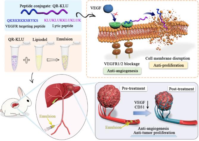 https://cdn.ncbi.nlm.nih.gov/pmc/blobs/b9ed/12013038/61ee211872f0/12951_2025_3277_Fig7_HTML.jpg