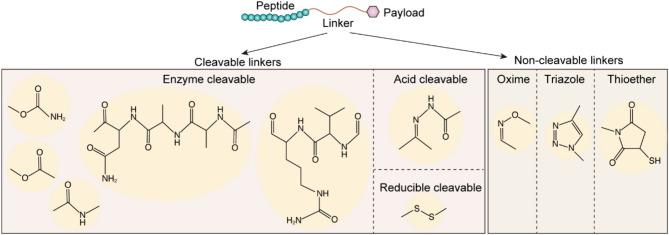 https://cdn.ncbi.nlm.nih.gov/pmc/blobs/b9ed/12013038/e2151dab7db2/12951_2025_3277_Fig6_HTML.jpg