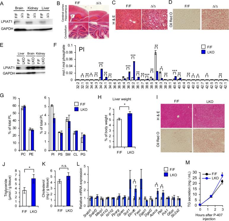 https://cdn.ncbi.nlm.nih.gov/pmc/blobs/b9ef/7788230/a3eeb07147be/gutjnl-2020-320646f01.jpg