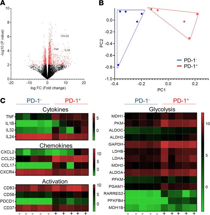 https://cdn.ncbi.nlm.nih.gov/pmc/blobs/b9f0/7710281/85d40e303373/jciinsight-5-139032-g238.jpg