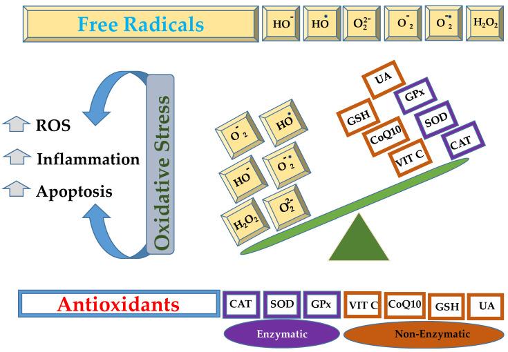https://cdn.ncbi.nlm.nih.gov/pmc/blobs/b9f2/12383091/72124c187510/antioxidants-14-01007-g001.jpg