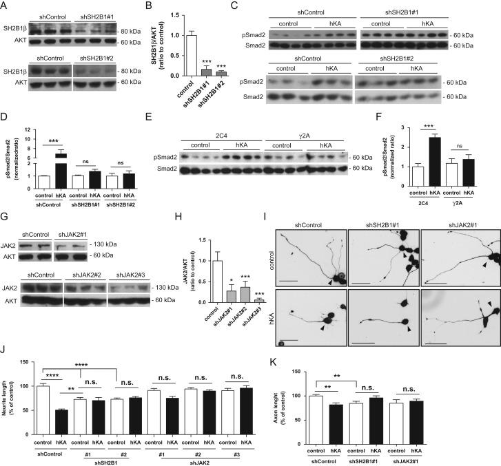 https://cdn.ncbi.nlm.nih.gov/pmc/blobs/b9f2/5905272/b8cc83894e4f/bhx023f05.jpg