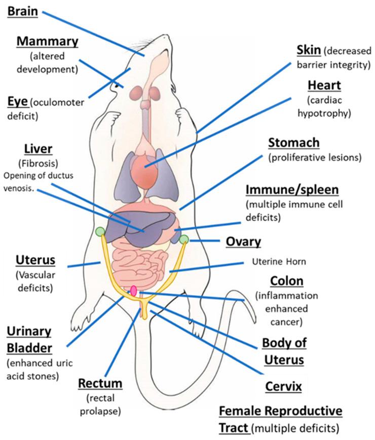 https://cdn.ncbi.nlm.nih.gov/pmc/blobs/b9f2/7555580/ae6bbd506d86/ijms-21-06654-g001.jpg