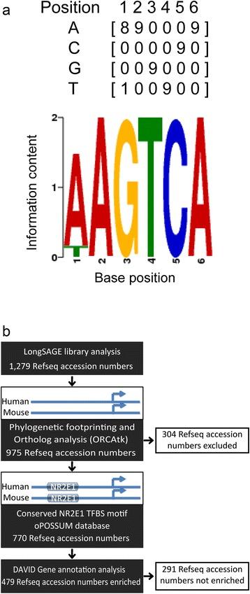 https://cdn.ncbi.nlm.nih.gov/pmc/blobs/b9f4/4512088/9fc8f7b88796/12864_2015_1770_Fig4_HTML.jpg